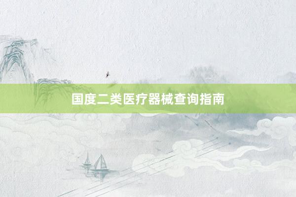 国度二类医疗器械查询指南
